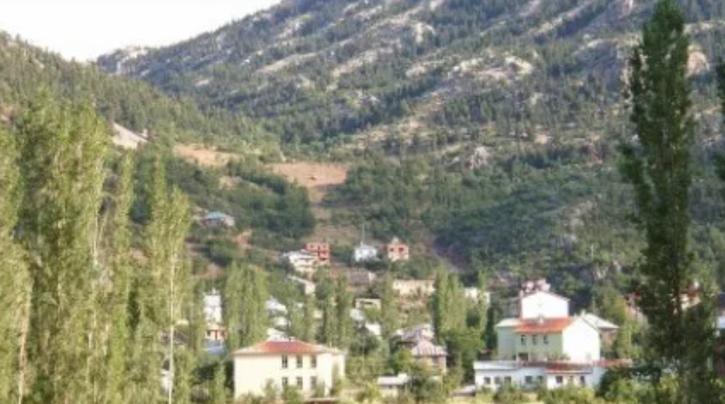 KONYA HADİM GÖYNÜKKIŞLA KÖYÜNDE 972 M² TARLA SATILIKTIR. - KONYA HADİM fotoğraf 10